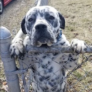 Meet your Posher, Gina